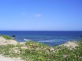 /album/fotogaleria/photo-1-jpg/
