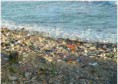 /album/fotogaleria/playa-contaminada-6feb12-jpg/